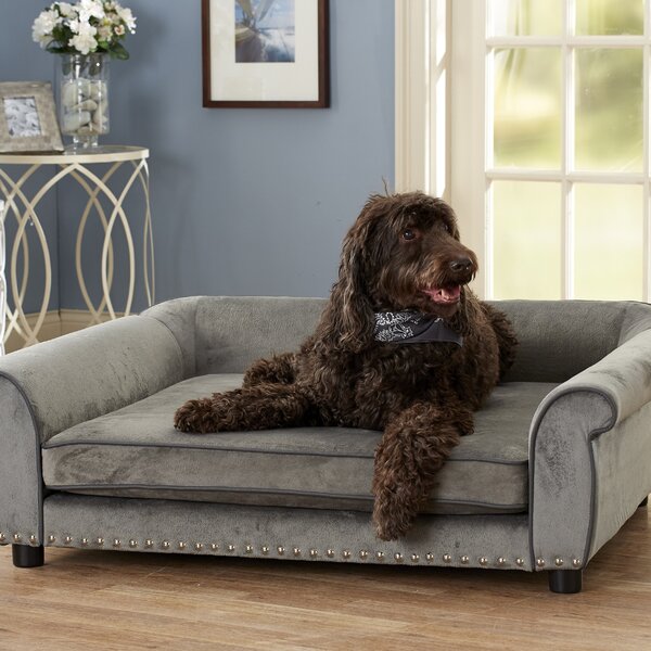 Dog couch clearance wayfair